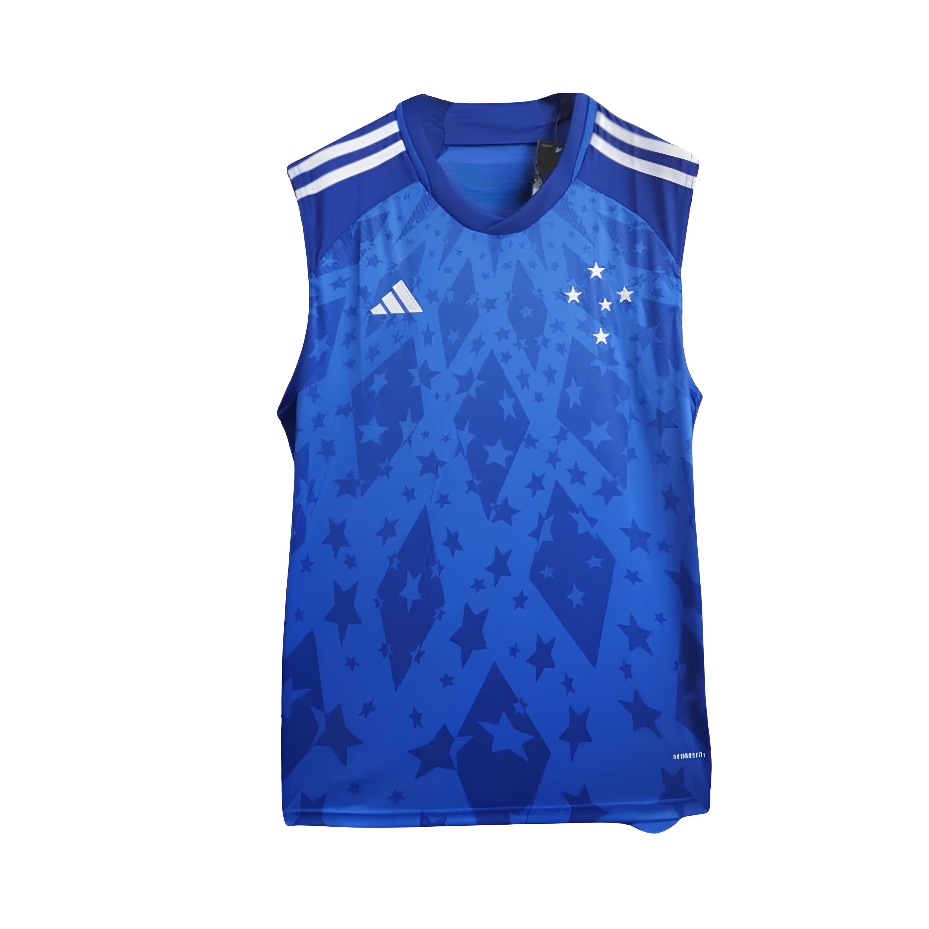Cruzeiro Training 24/25 - Sleeveless