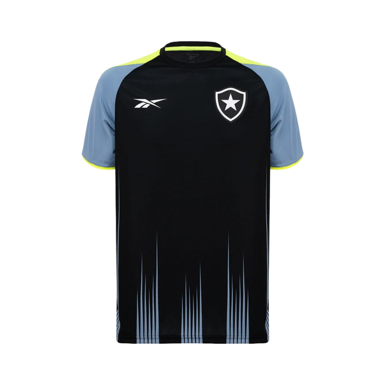 Botafogo Training 24/25