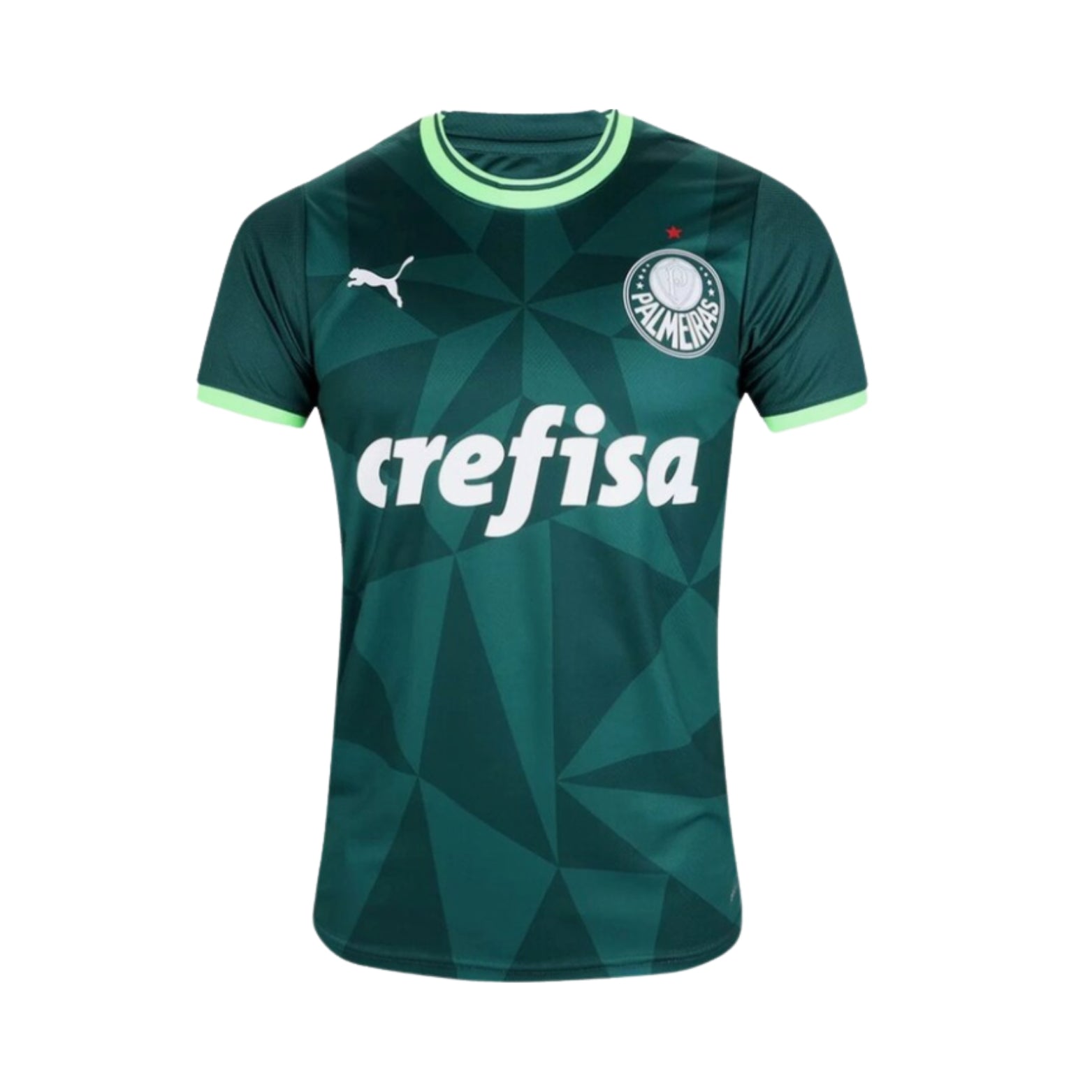 Palmeiras Home 23/24