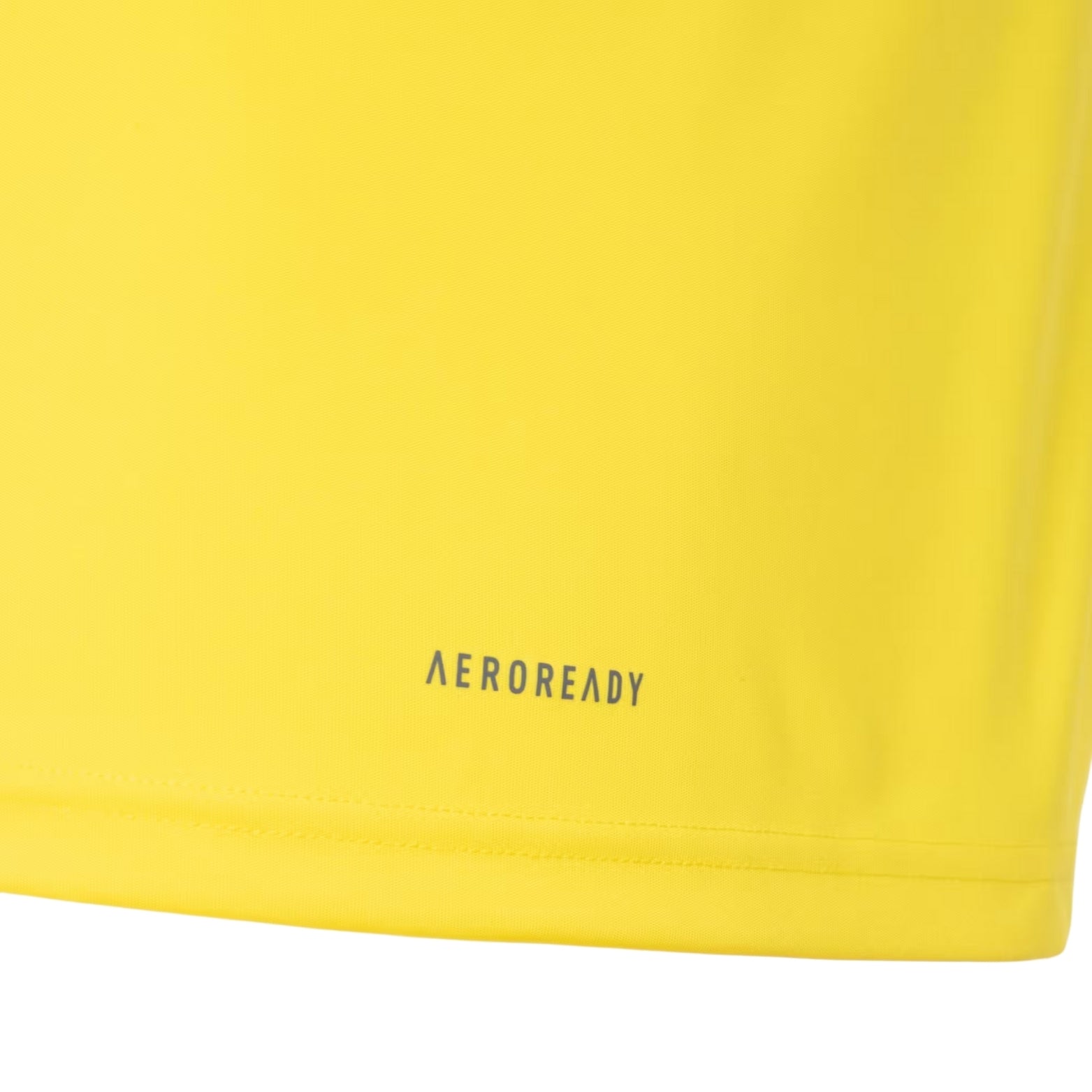 Flamengo Training 24/25