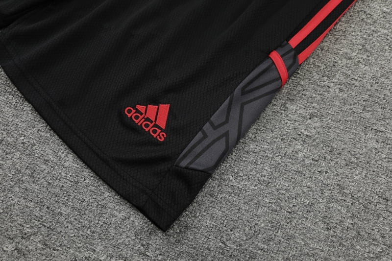 Training Kit - Bayern Munich 23/24 - Sleeveless
