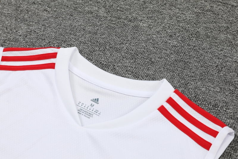 Training Kit - Bayern Munich 23/24 - Sleeveless