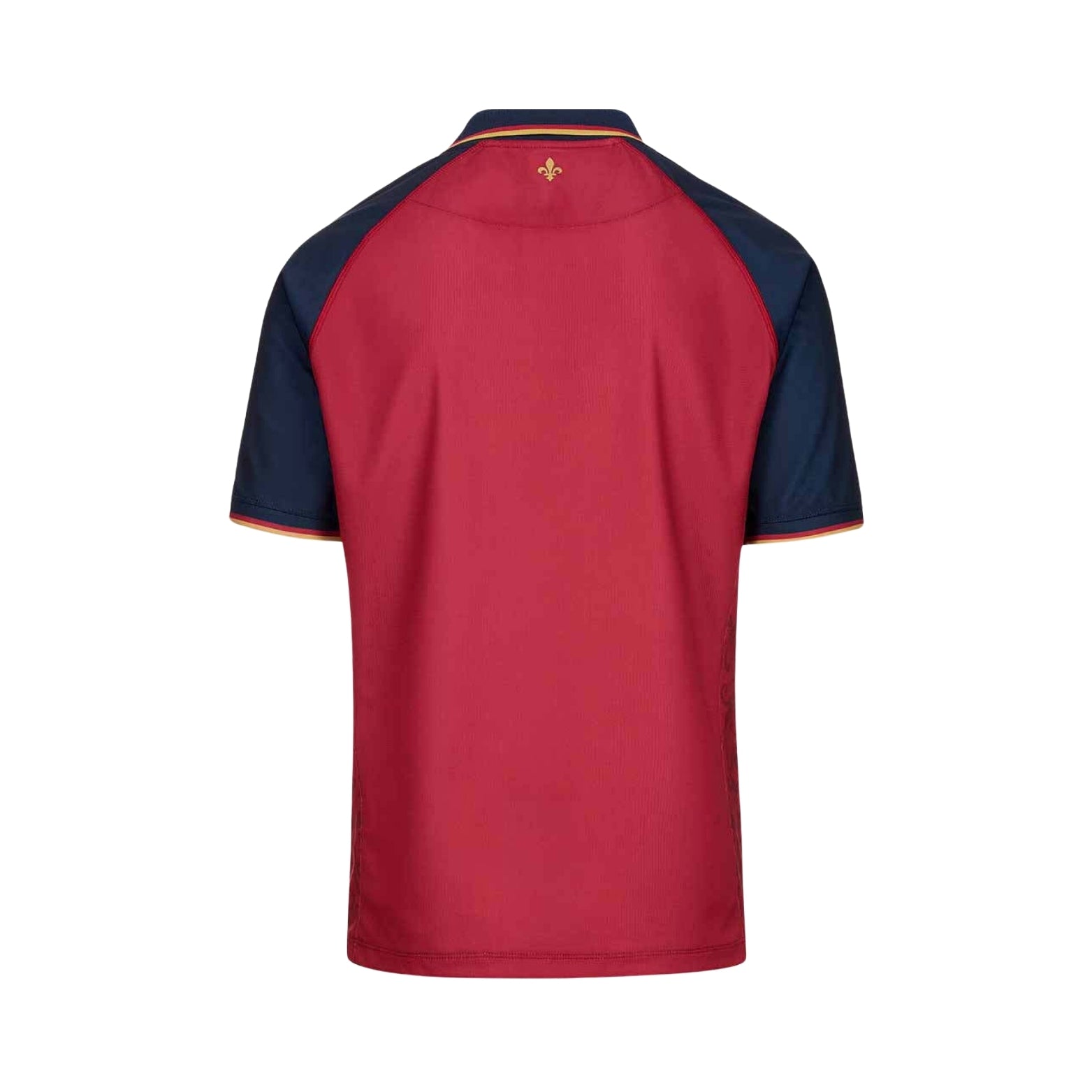 FC Versailles Third 24/25