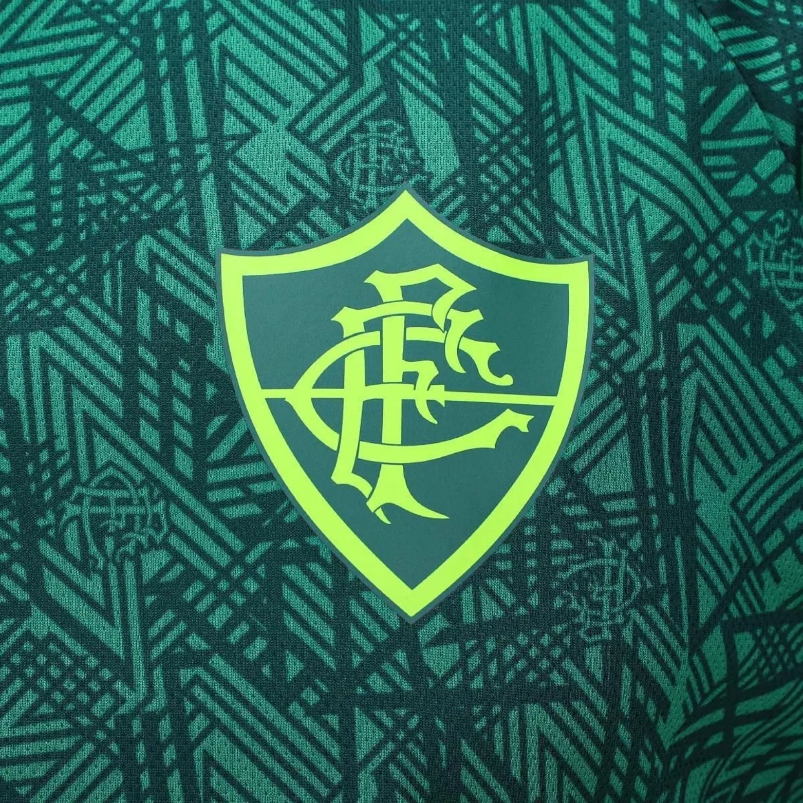 Fluminense Training 24/25