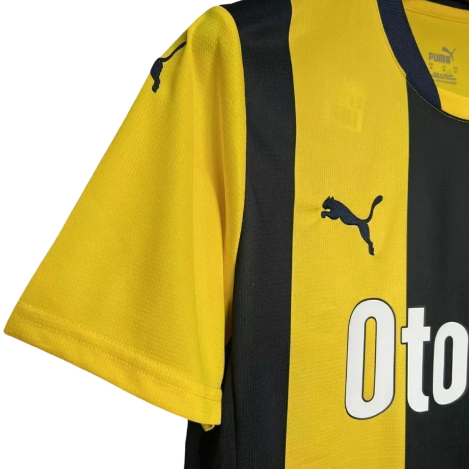 Fenerbahce Home 24/25