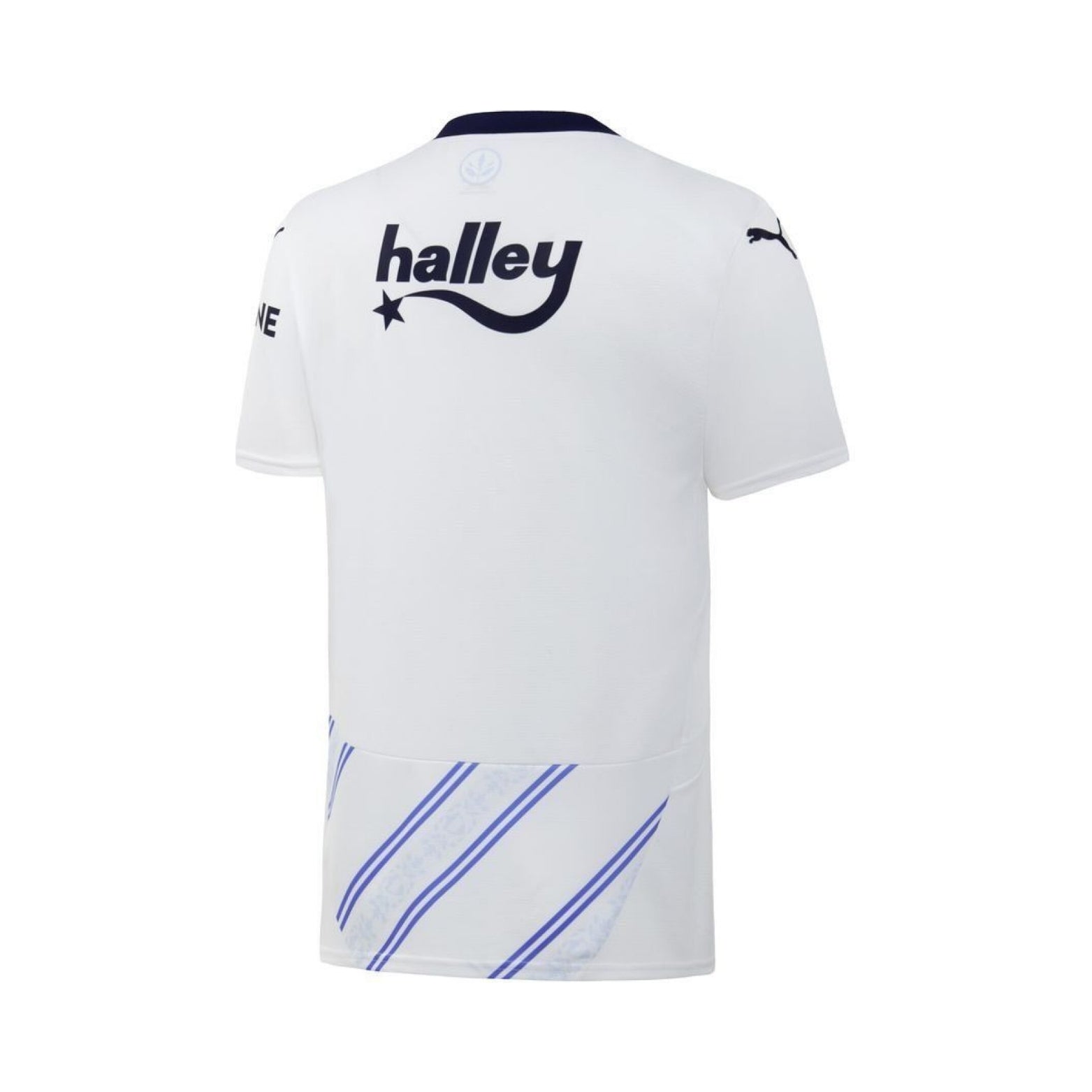 Fenerbahce Away 24/25