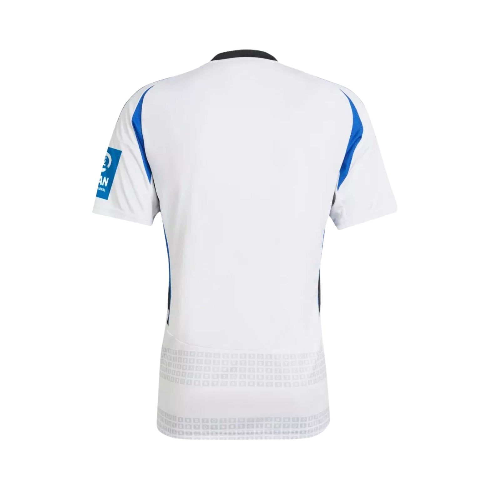 Hamburgo SV Home 24/25