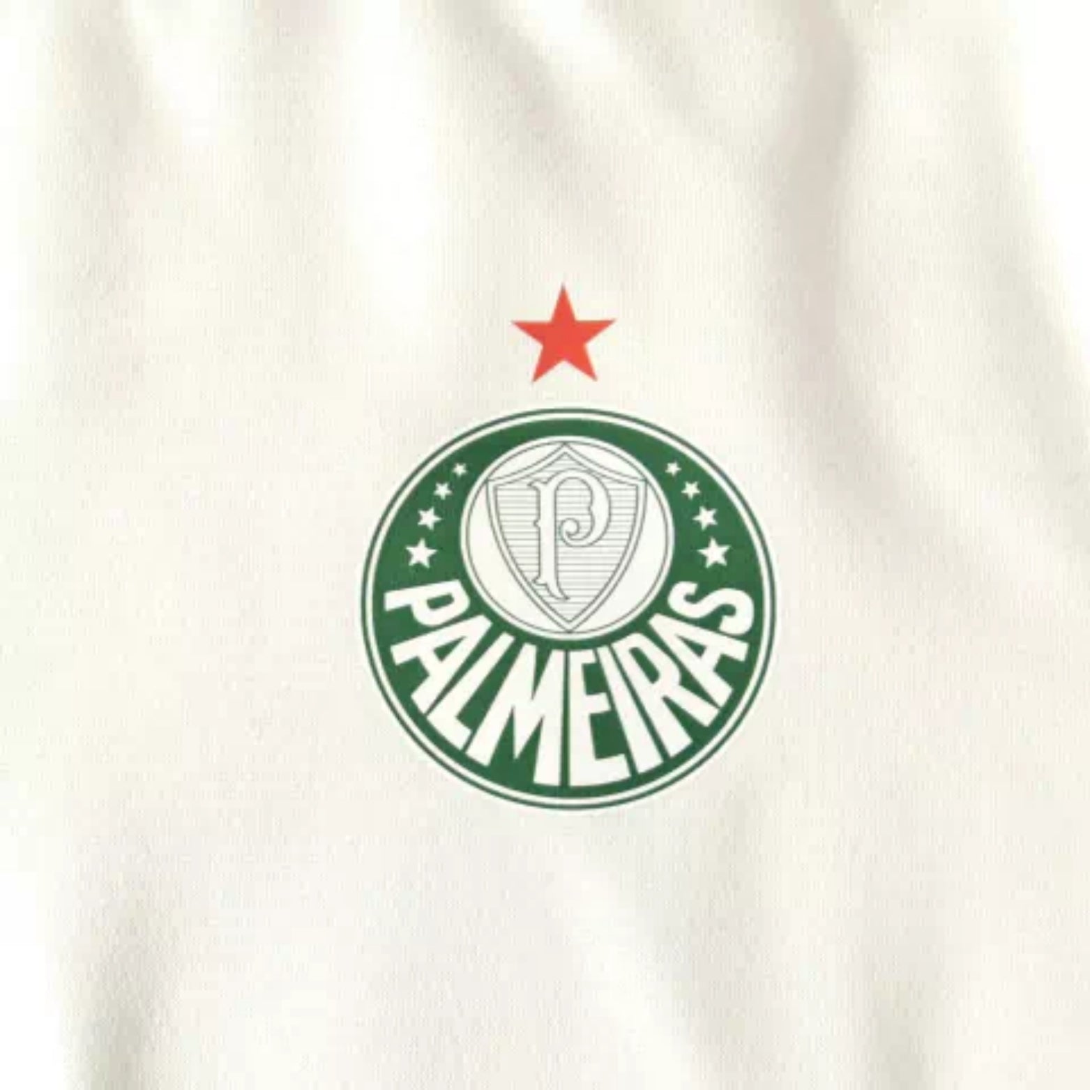 Palmeiras 25/26 - Hoodie