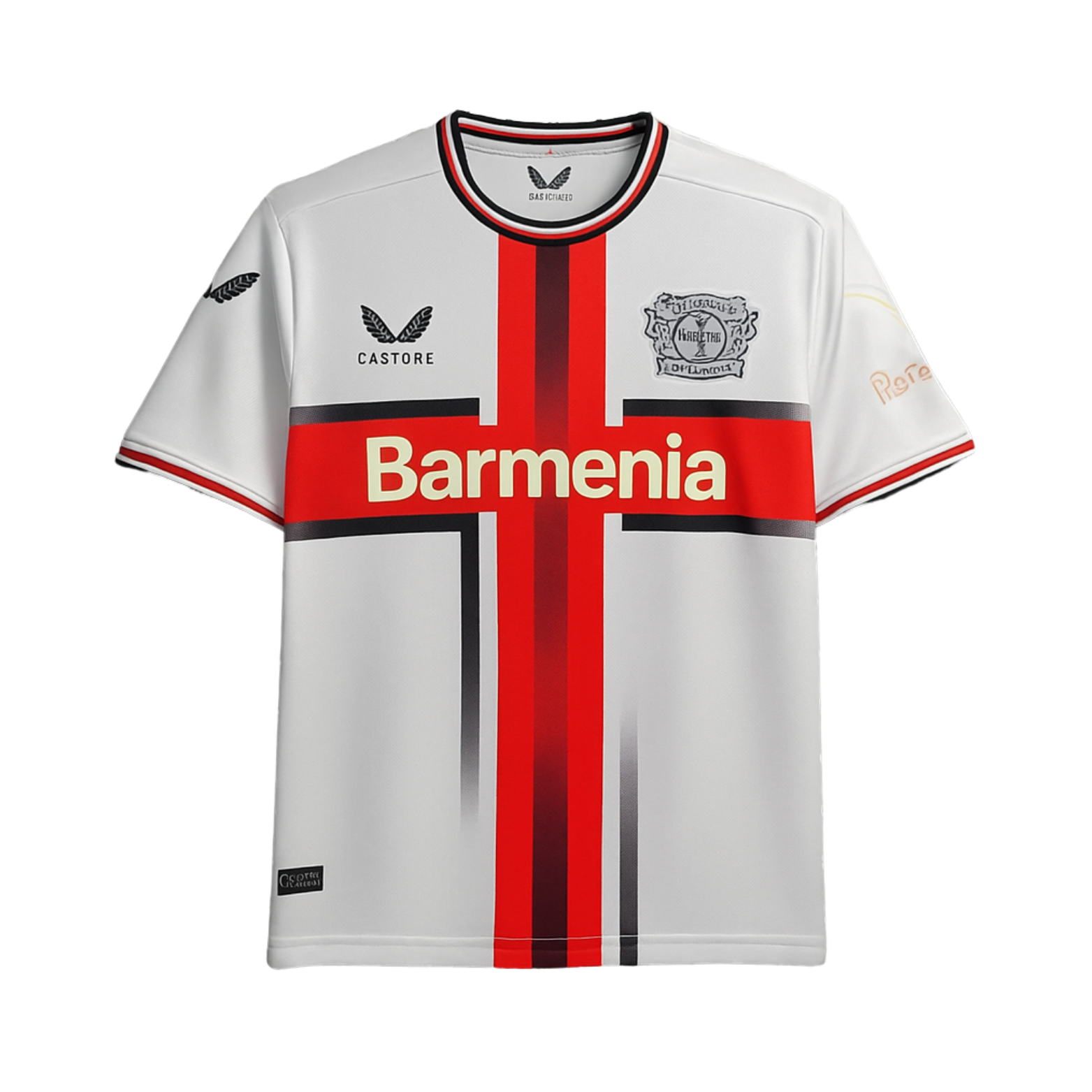 Bayer 04 Leverkusen Special Edition 24/25