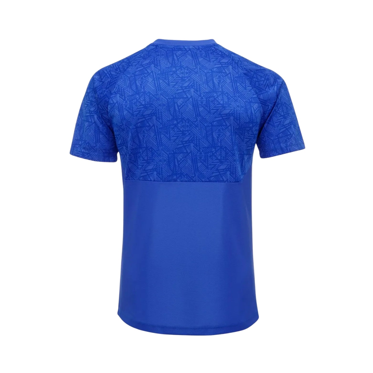 Grêmio Training 24/25