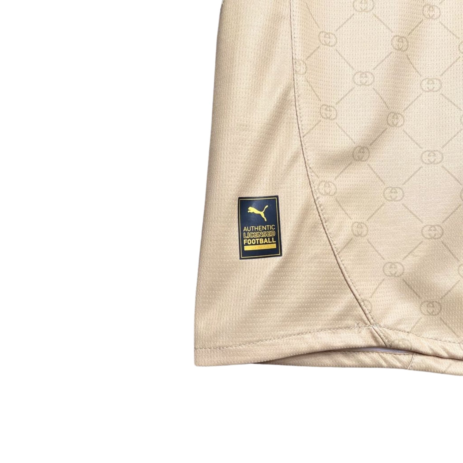 AC Milan Special Edition 24/25