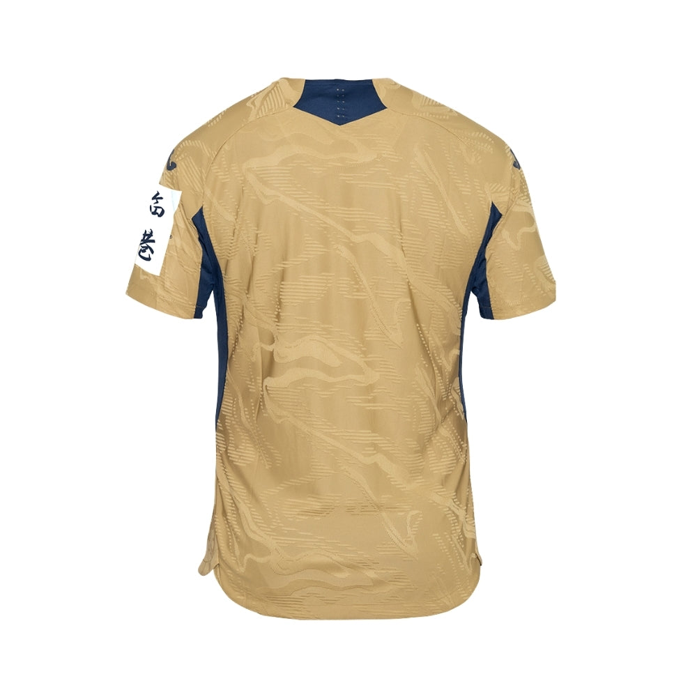 Hoffenheim Goalkeeper 25/26