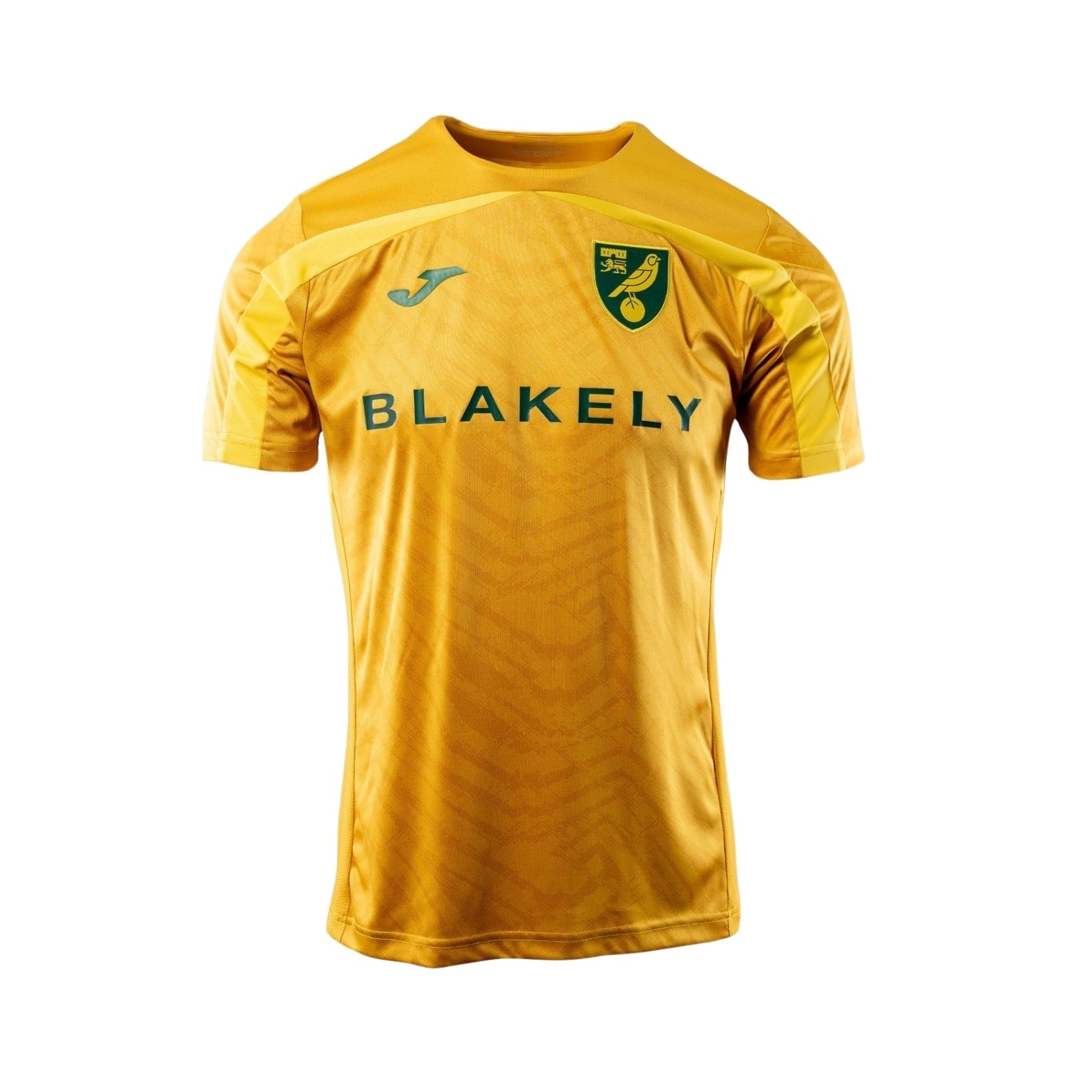 Norwich City F.C.Training 25/26