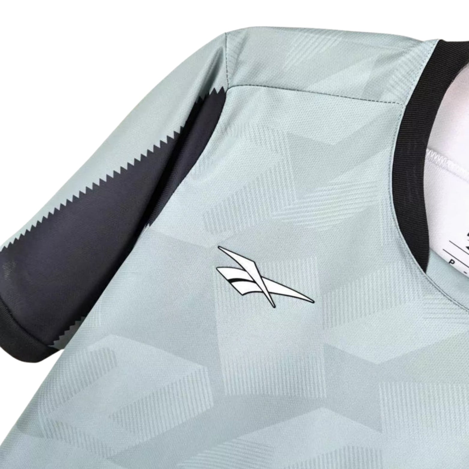 Botafogo Training 24/25