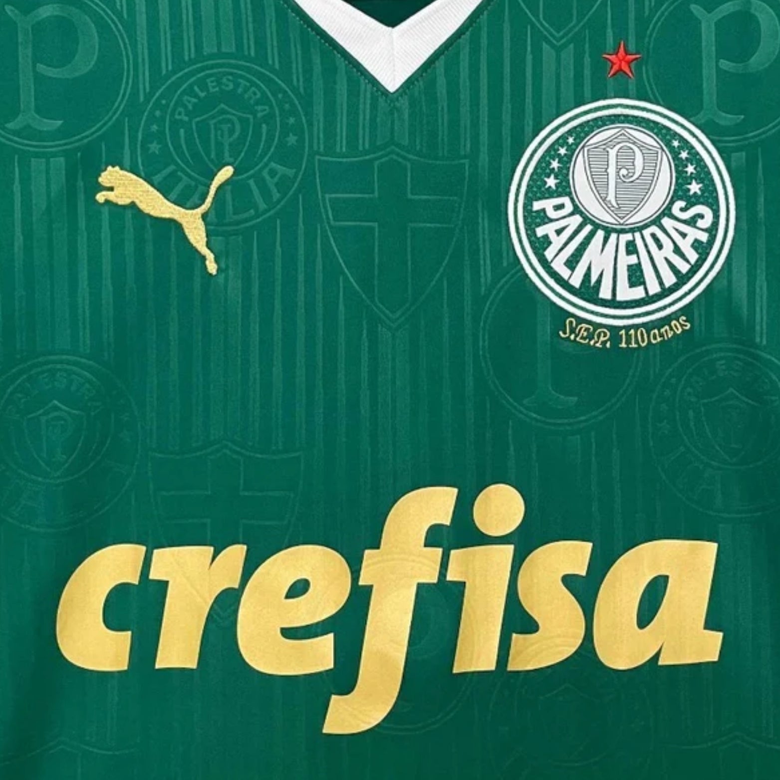 Palmeiras Home 24/25
