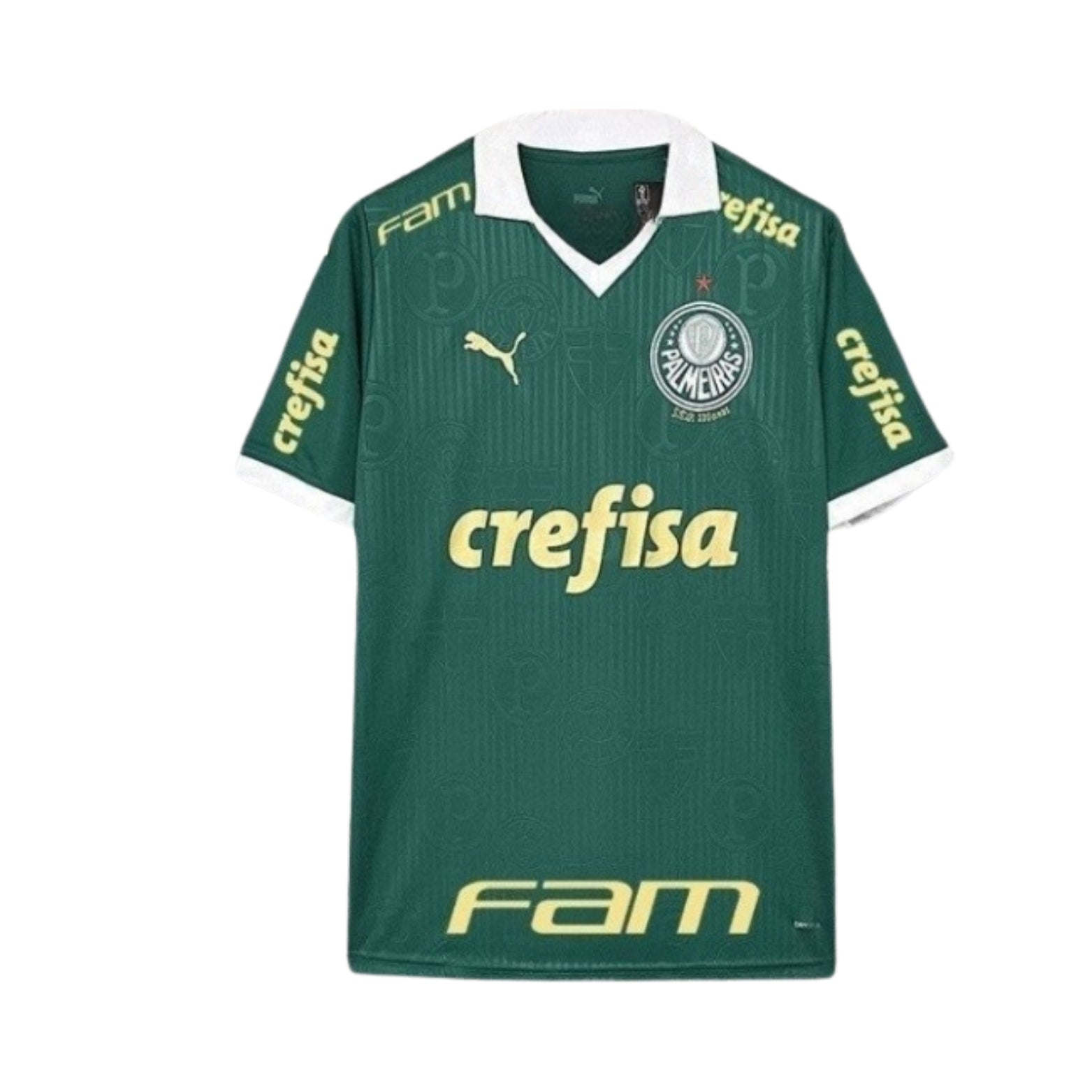 Palmeiras Home 24/25 - All Sponsors