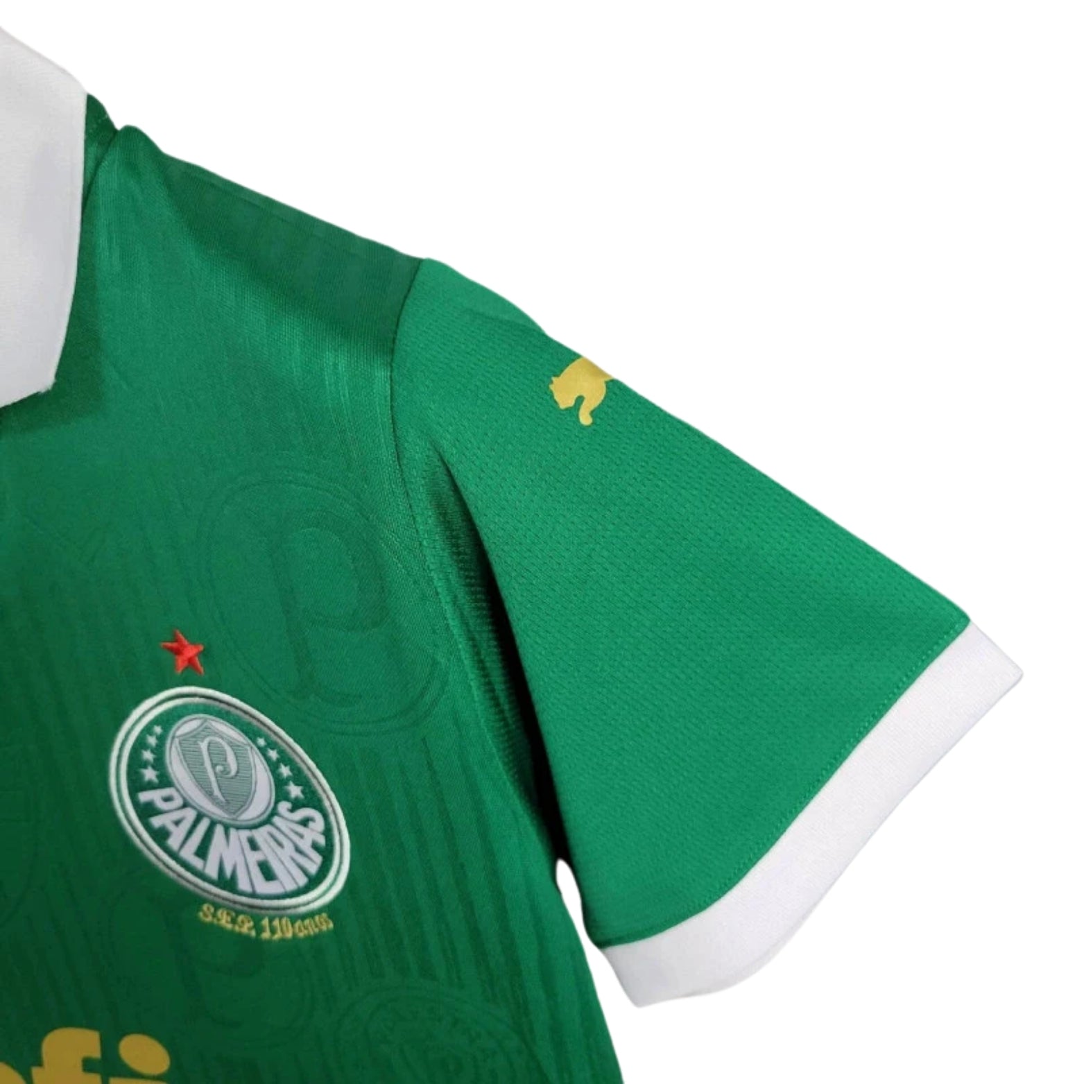 Palmeiras Home 24/25 - Women’s Version