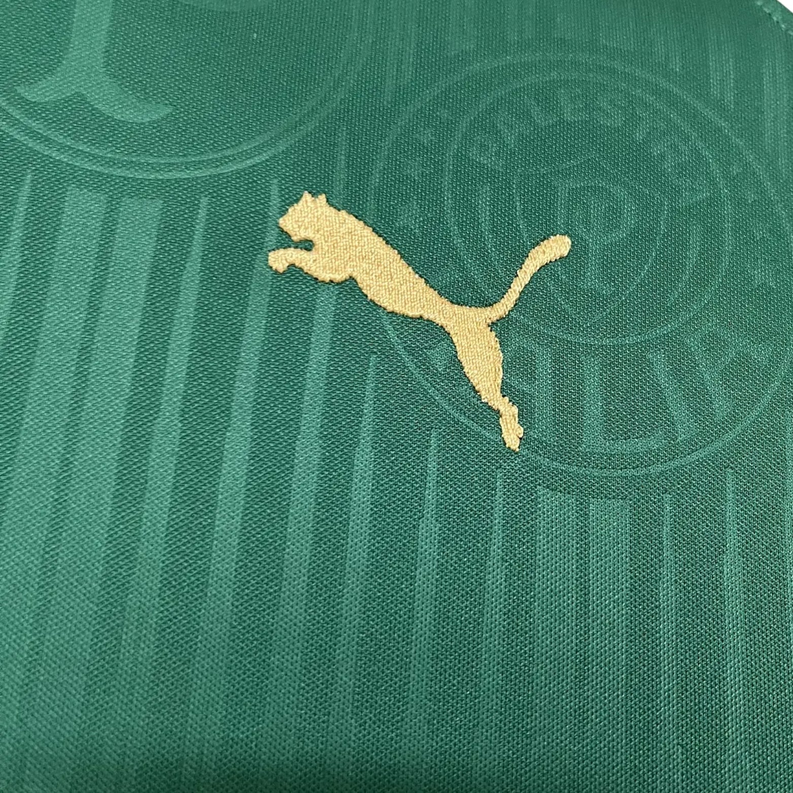 Palmeiras Home 24/25 - All Sponsors - Women’s Version