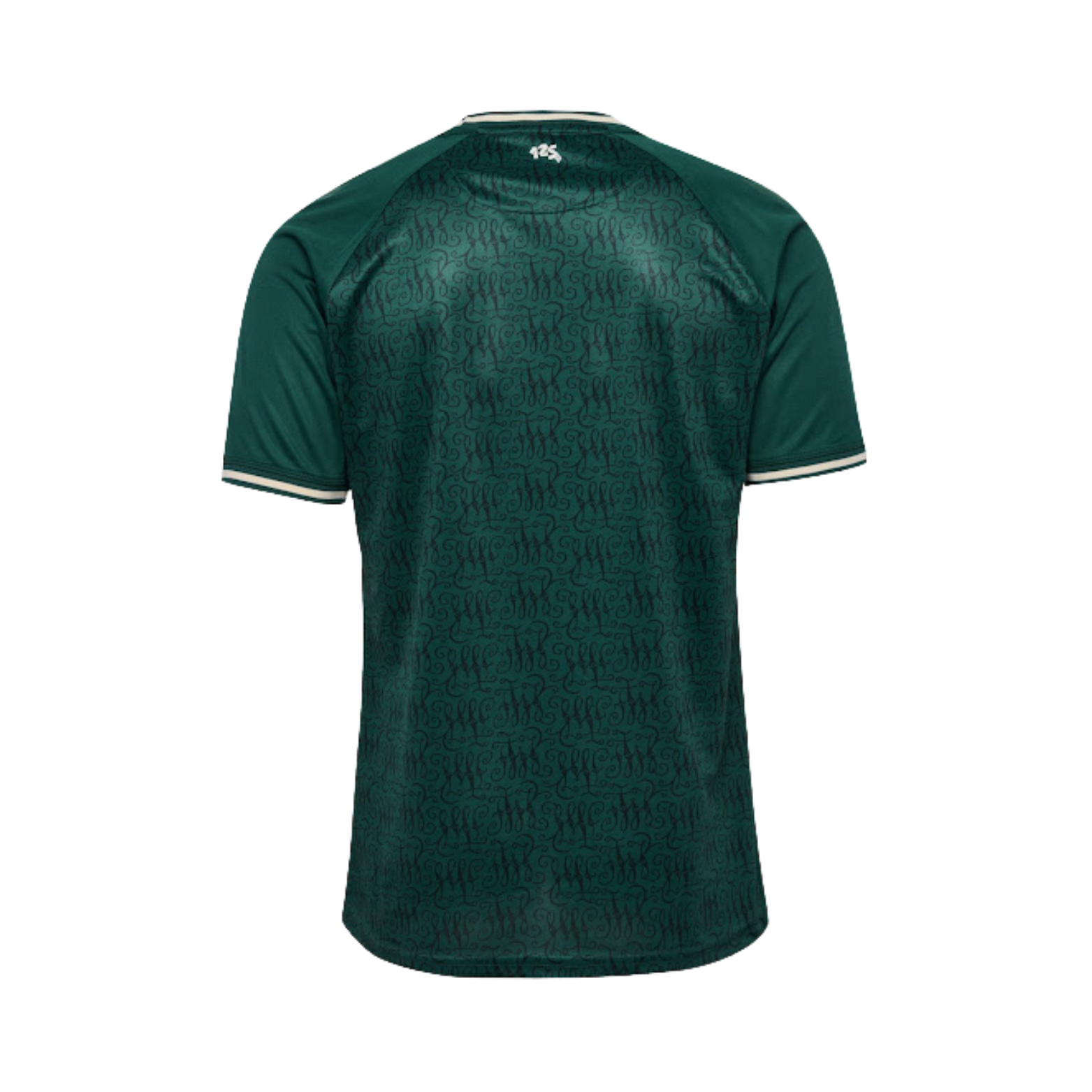 Werder Bremen Special Edition 24/25
