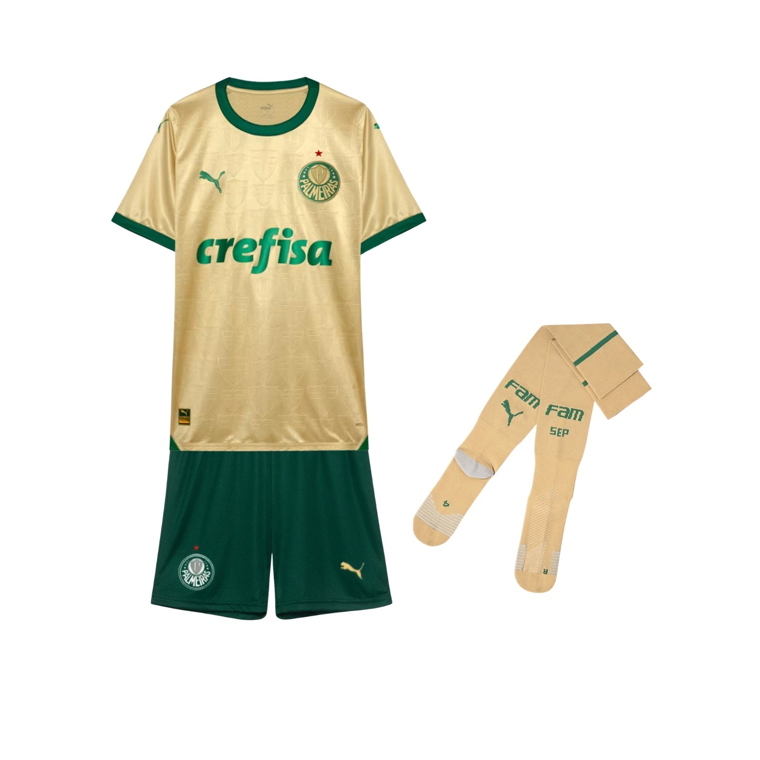 Kids Kit - Palmeiras Third 24/25