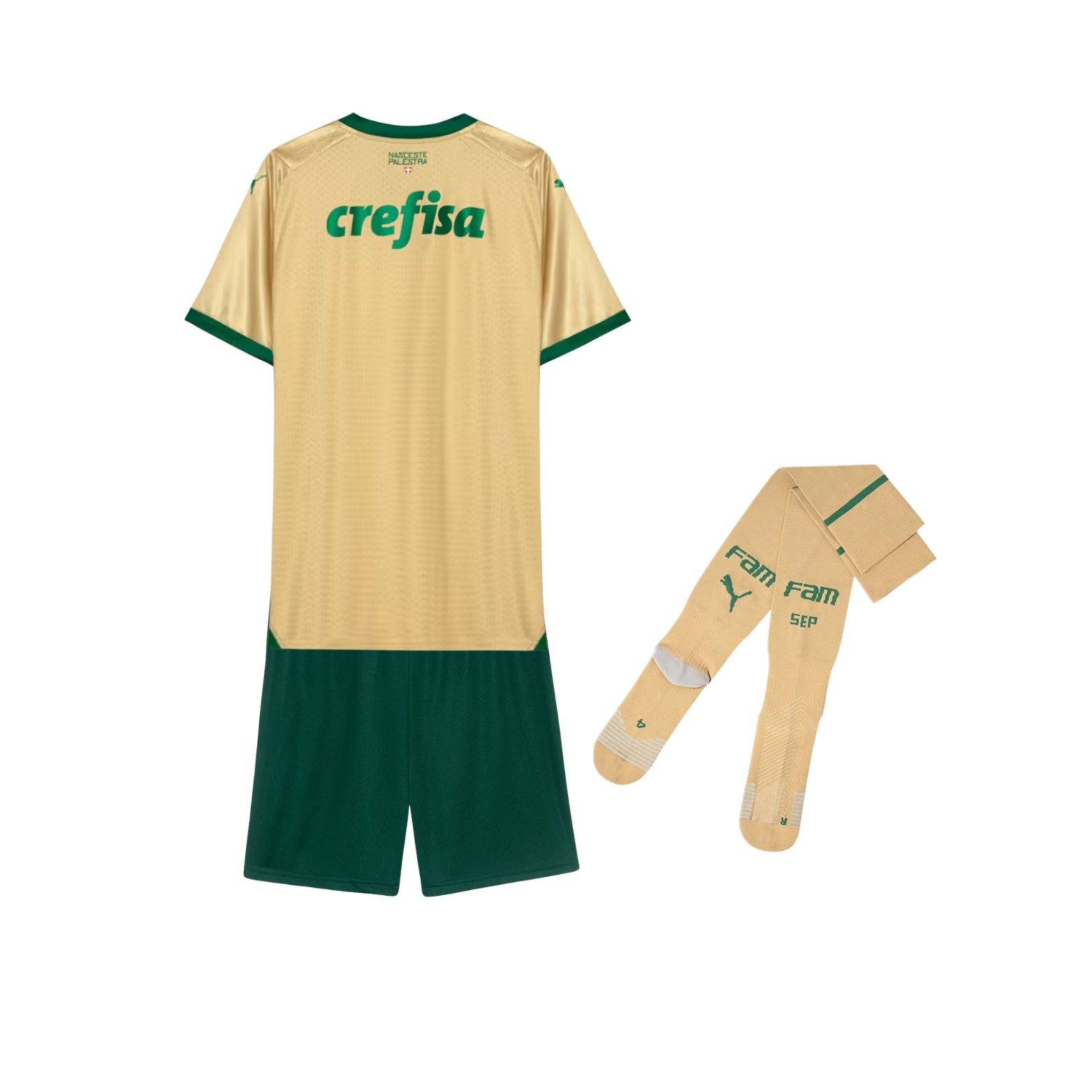 Kids Kit - Palmeiras Third 24/25