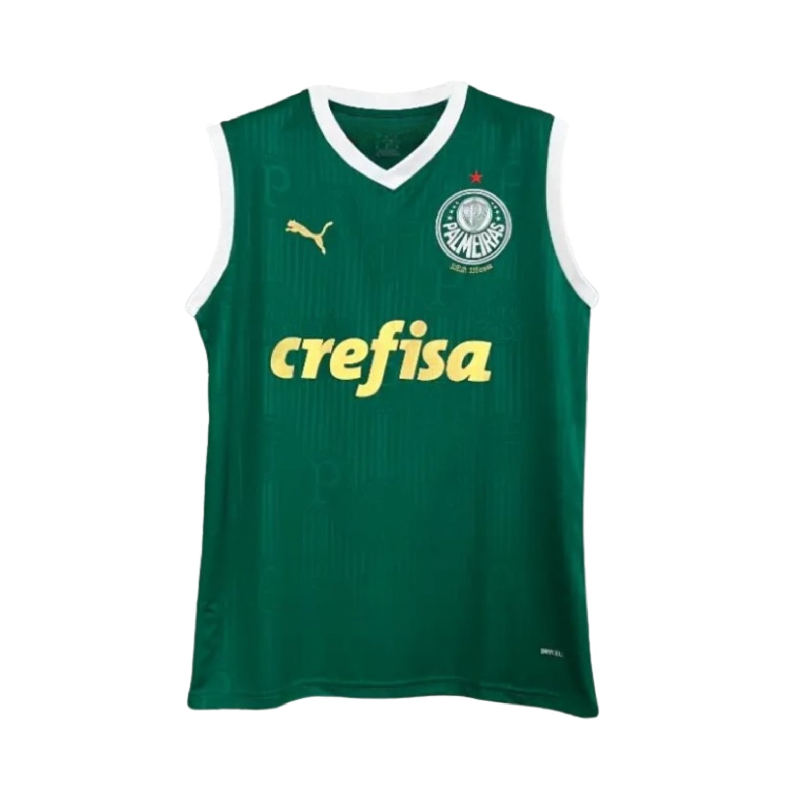 Palmeiras Training 23/24 - Sleeveless