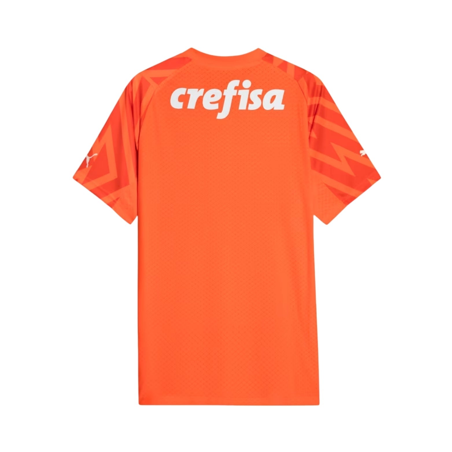 Palmeiras Goalkeeper 24/25