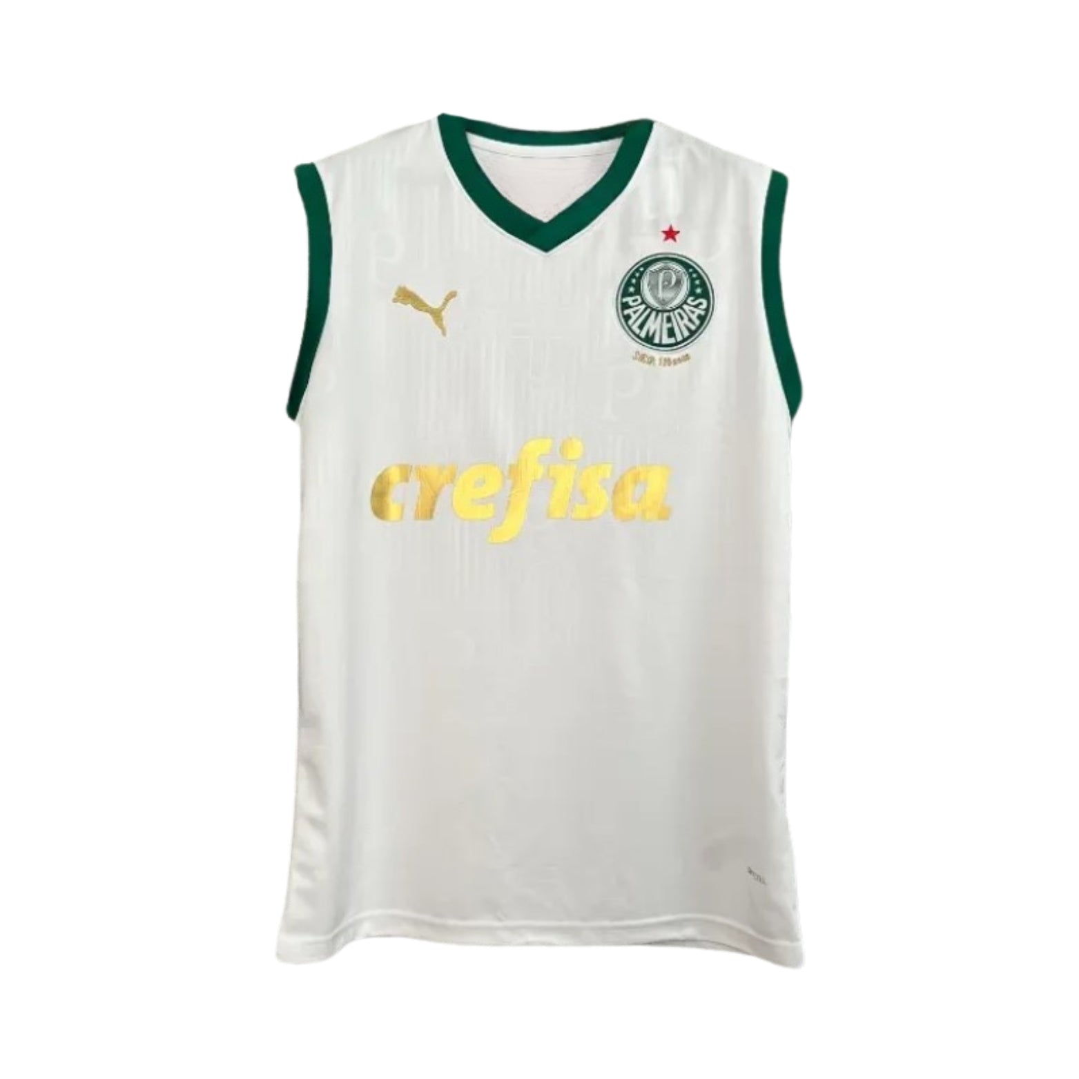 Palmeiras Training 23/24 - Sleeveless