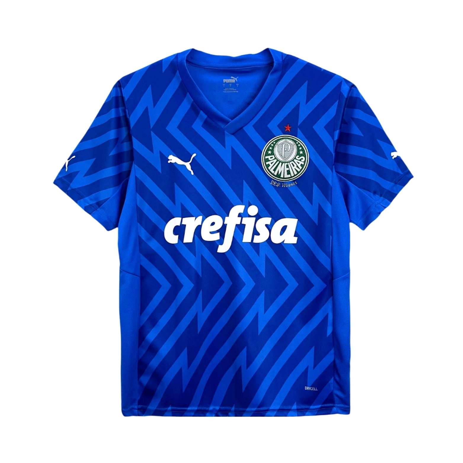 Palmeiras Goalkeeper 24/25