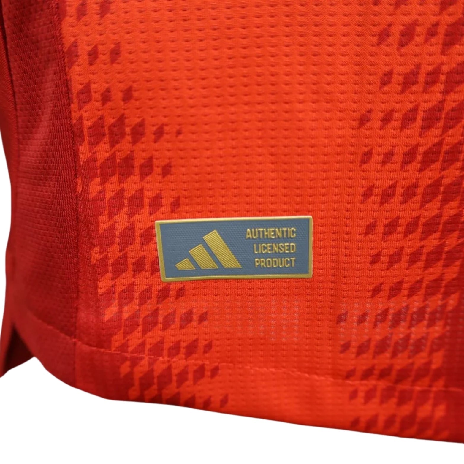 Bayern Munich Home 24/25 - Player Version