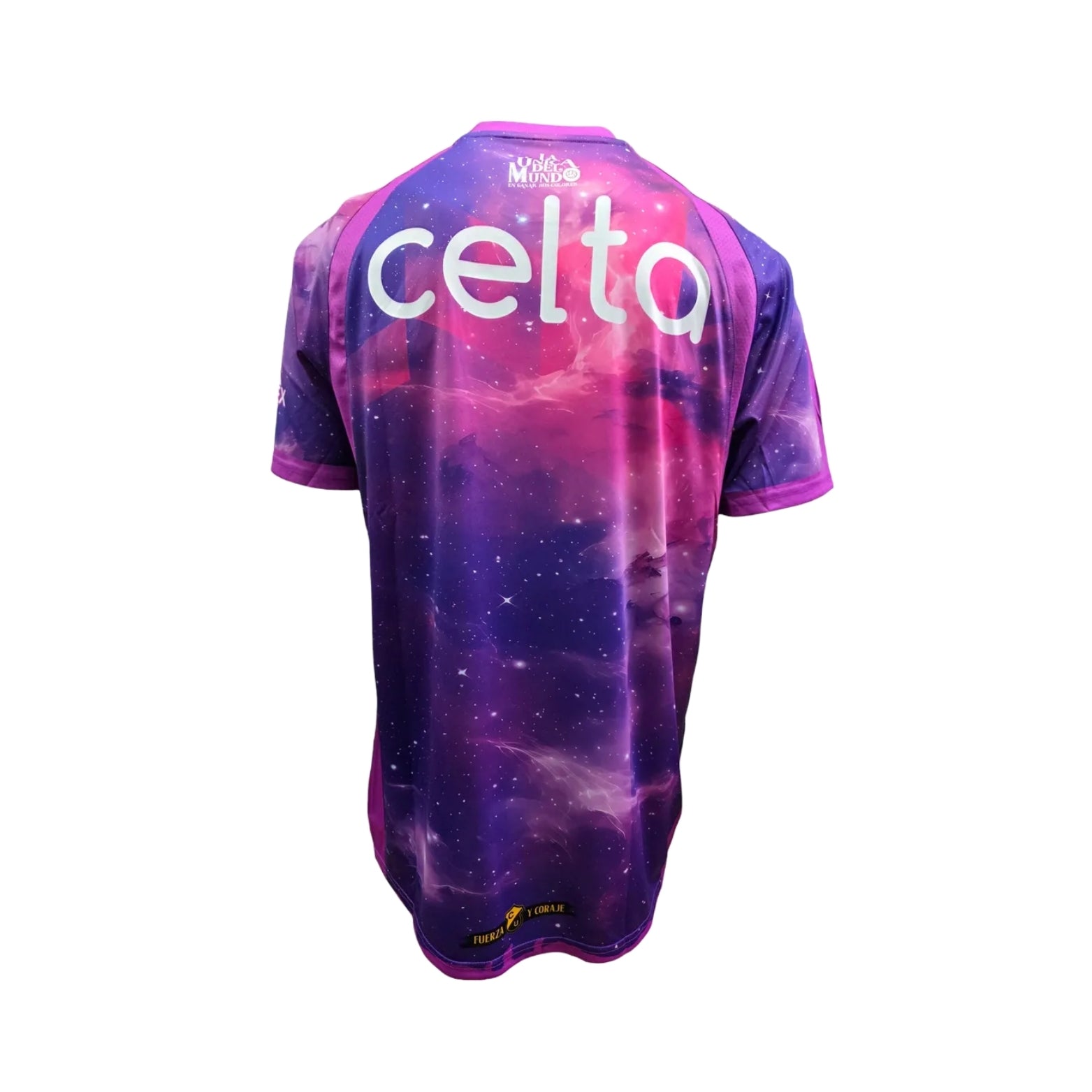 Coquimbo Unido Goalkeeper 25/26