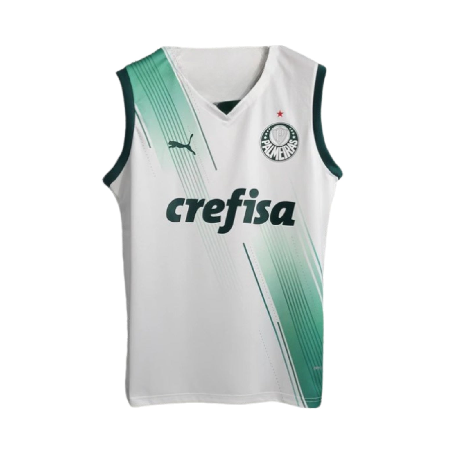 Palmeiras Training 23/24 - Sleeveless