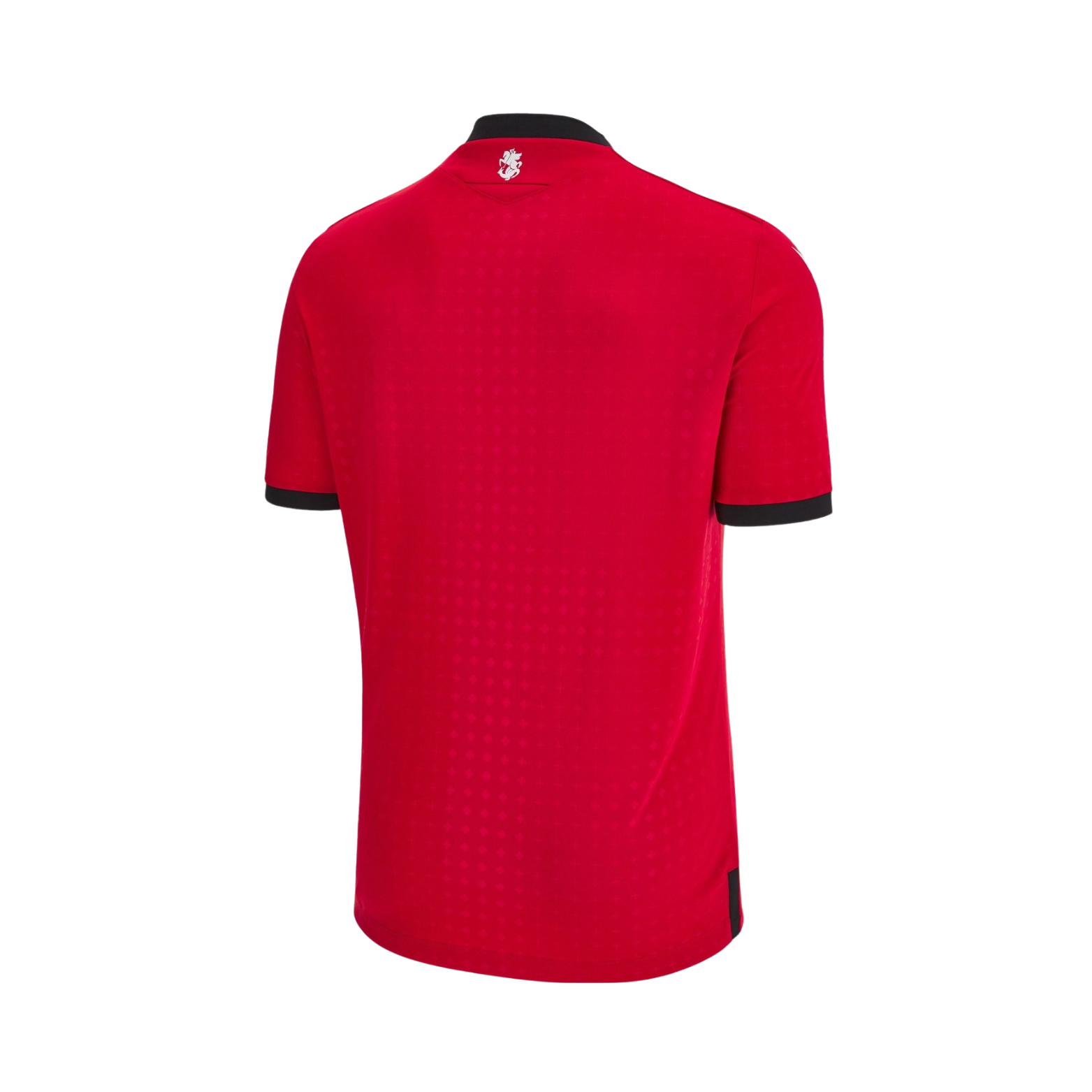 Georgia Third 24/25 - Euro 2024