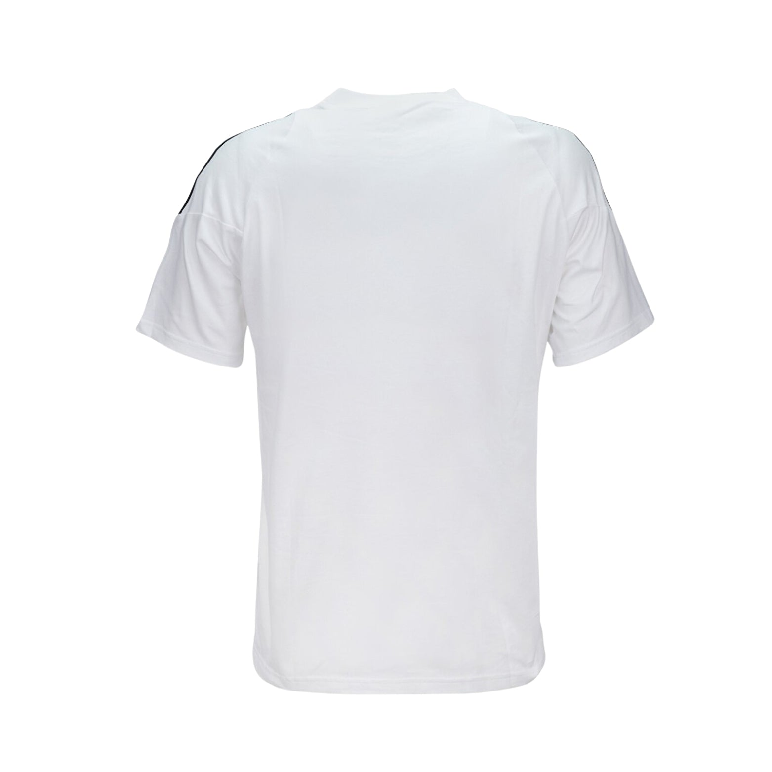 Besiktas Training 25/26