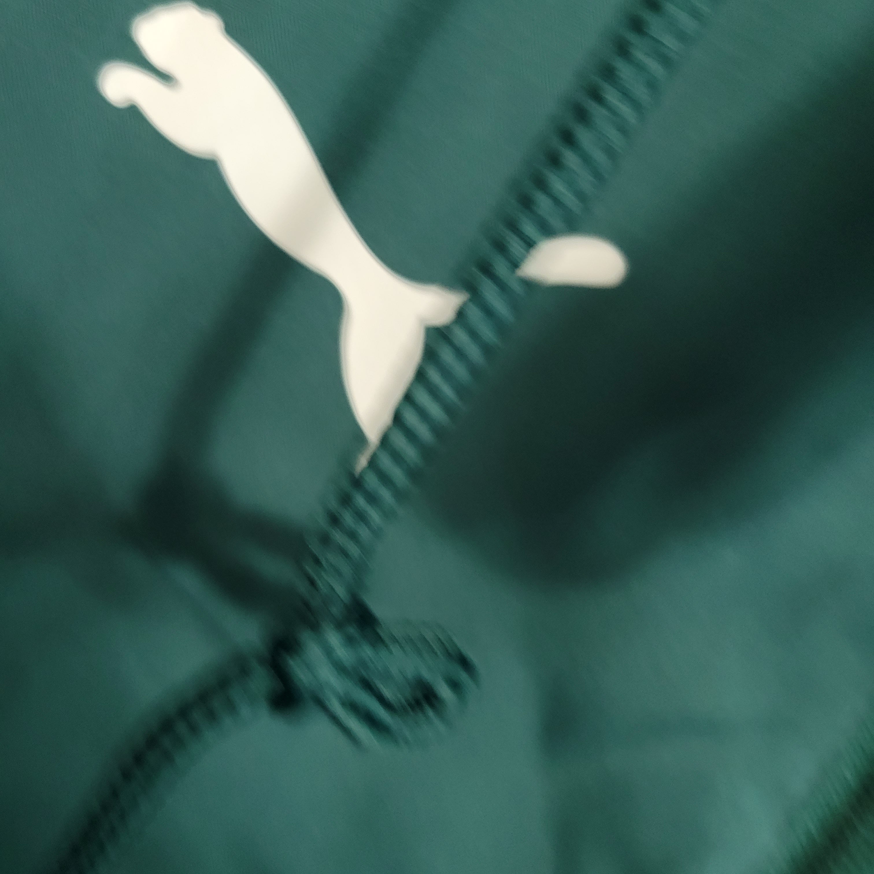 Windbreaker - Palmeiras 23/24