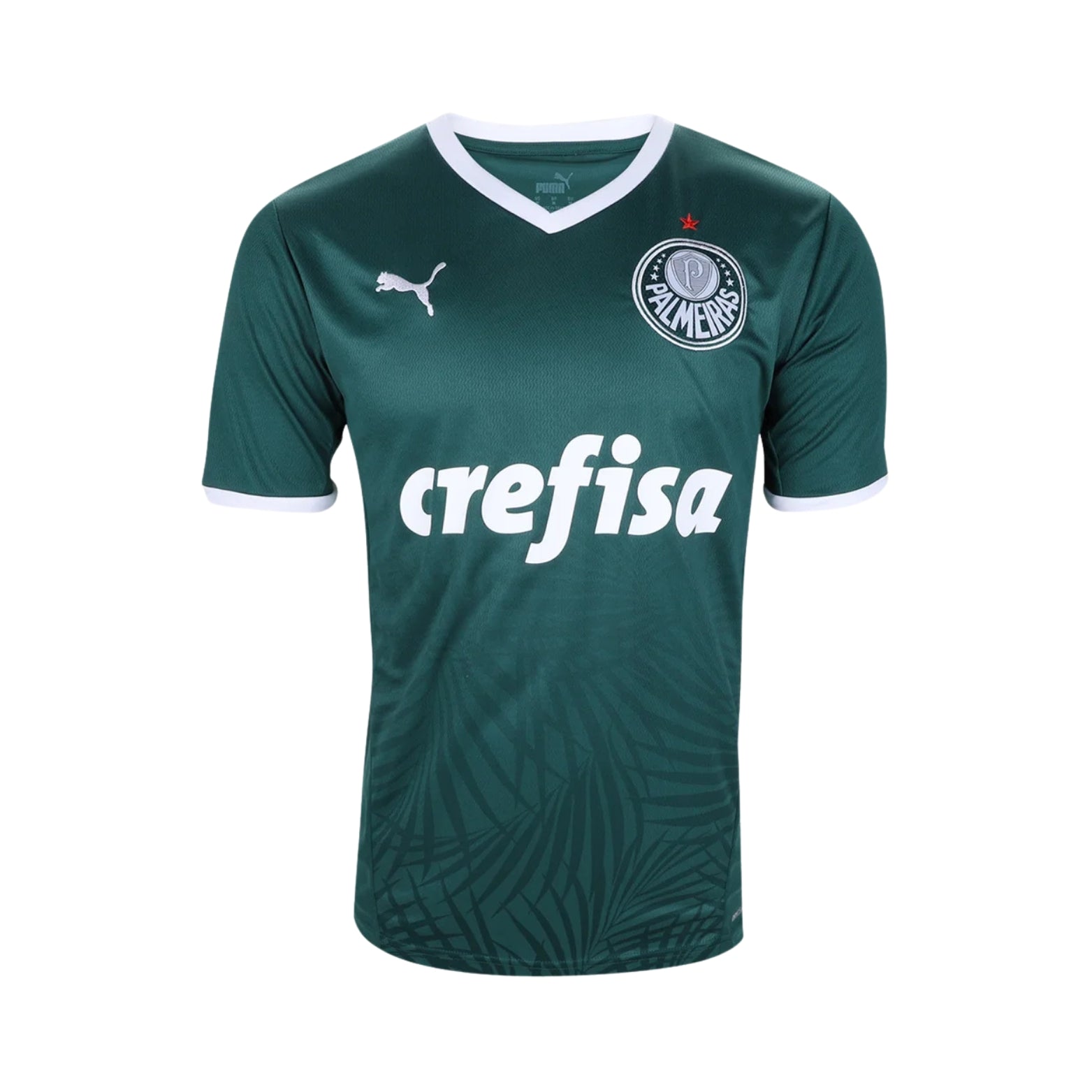 Palmeiras Home 22/23
