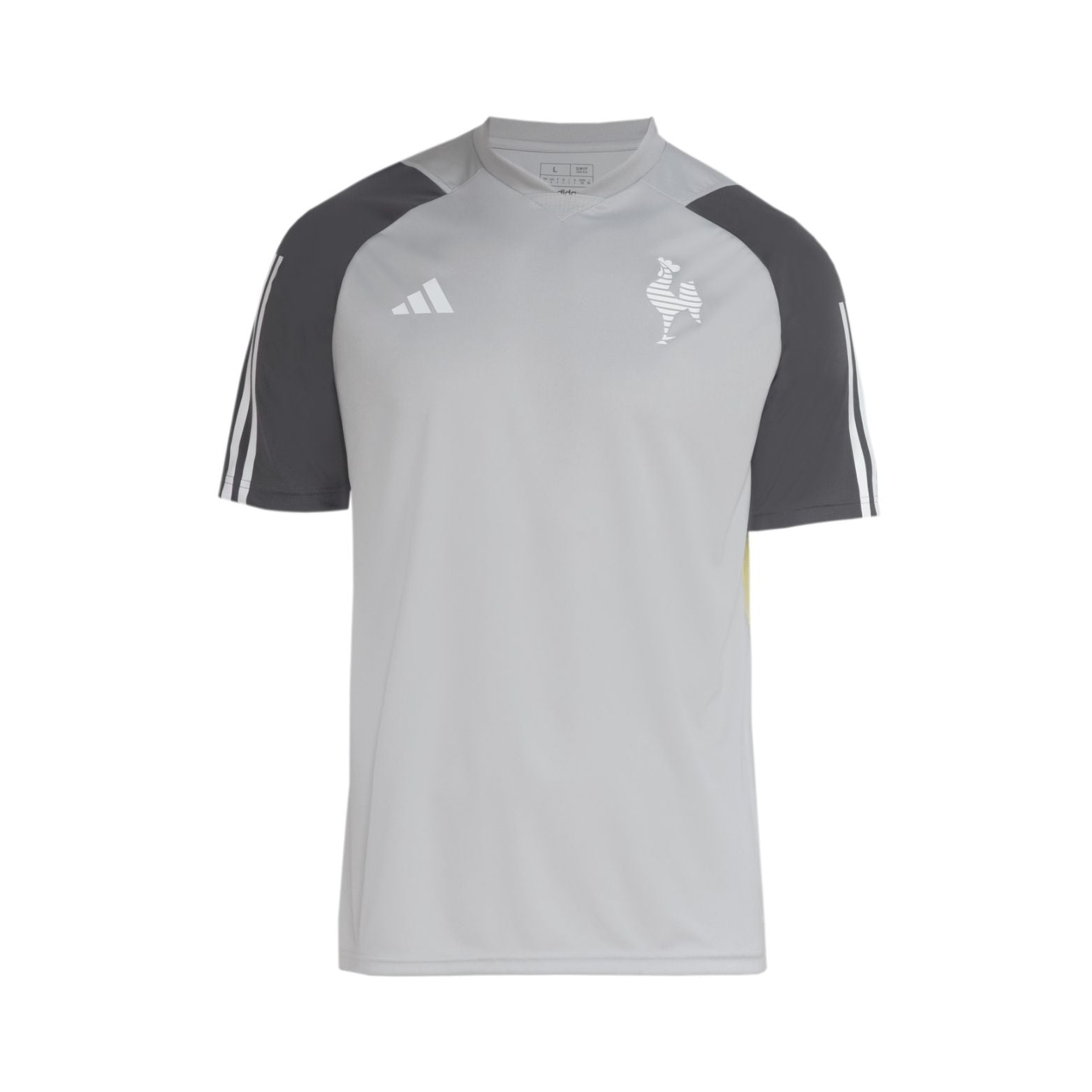 Atlético Mineiro Training 24/25