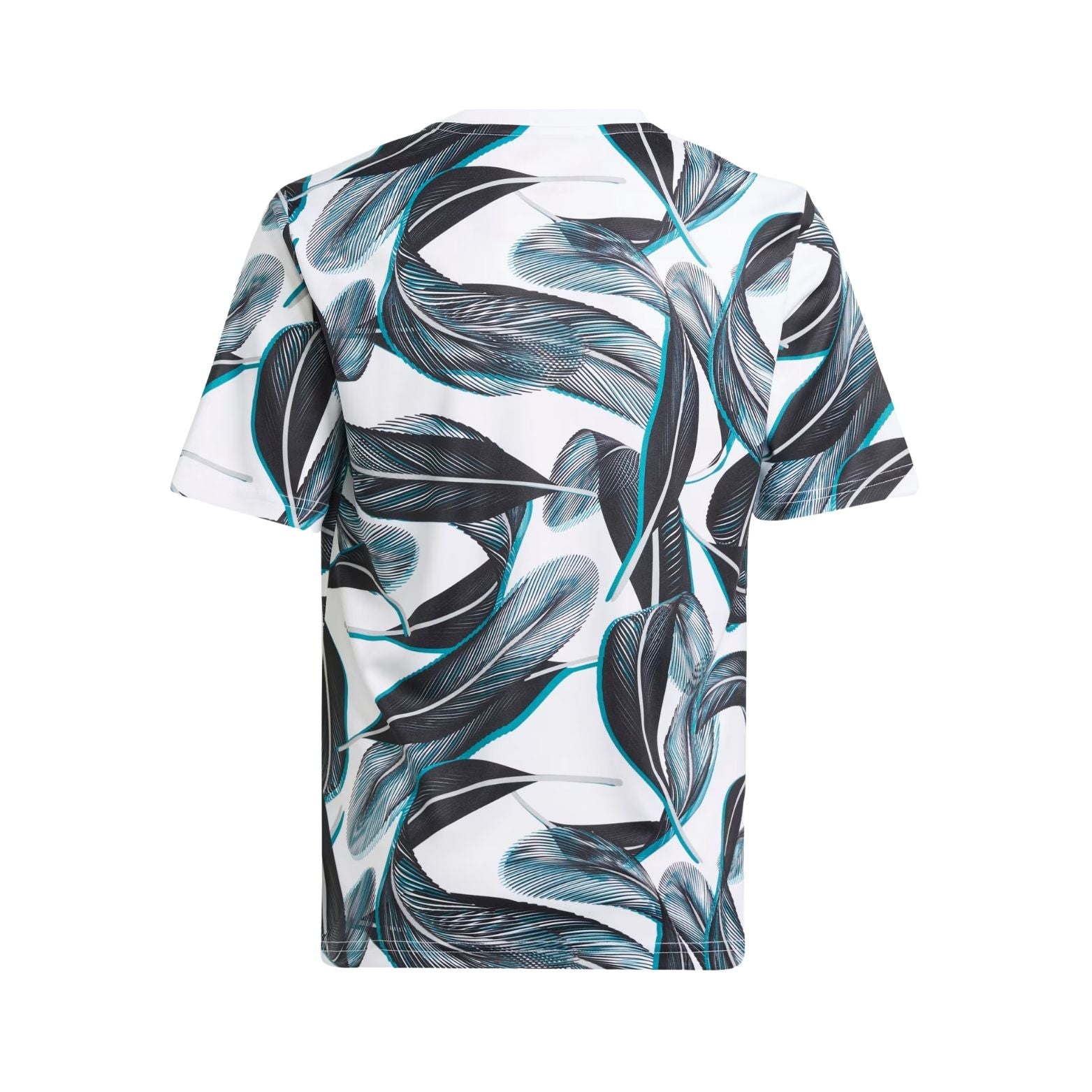 Newcastle United Pre-Match 24/25