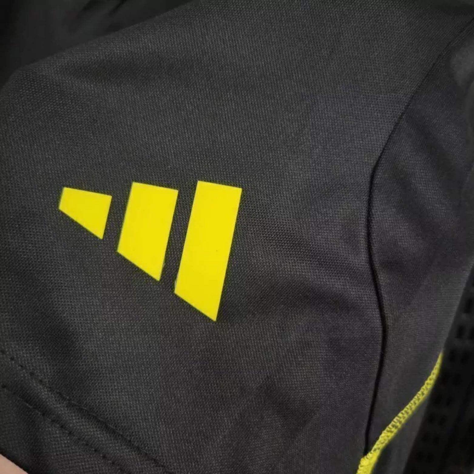 Shorts - Flamengo Training 24/25