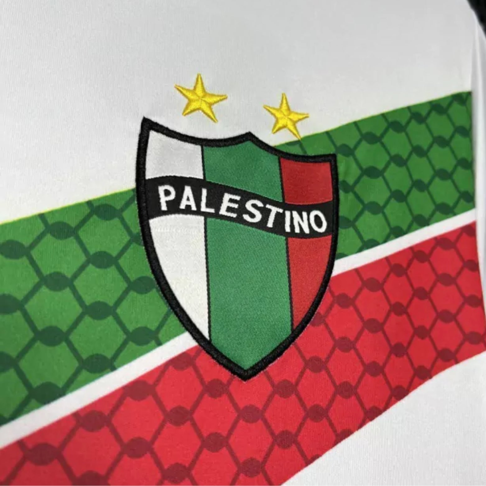 CD Palestino Special Edition 24/25