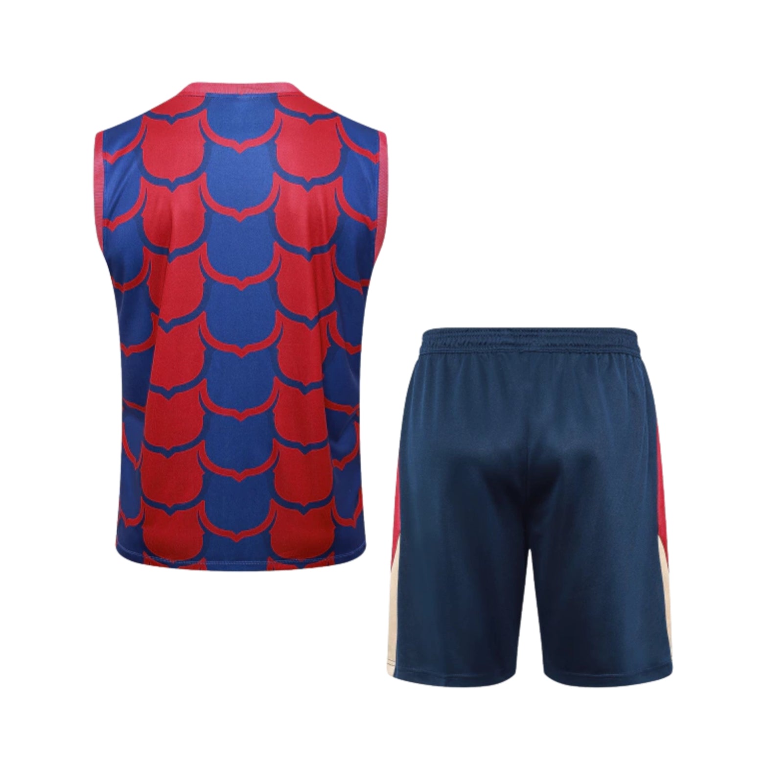 Training Kit - Barcelona 24/25 - Sleeveless