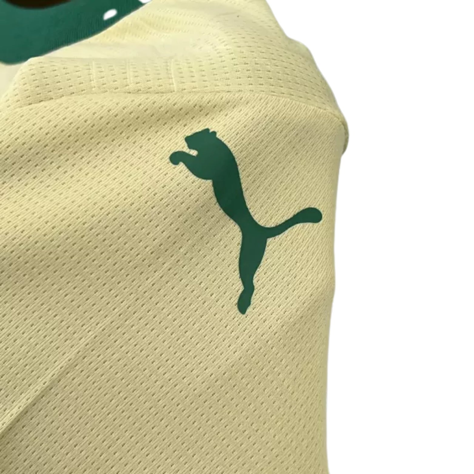 Kids Kit - Palmeiras Third 24/25