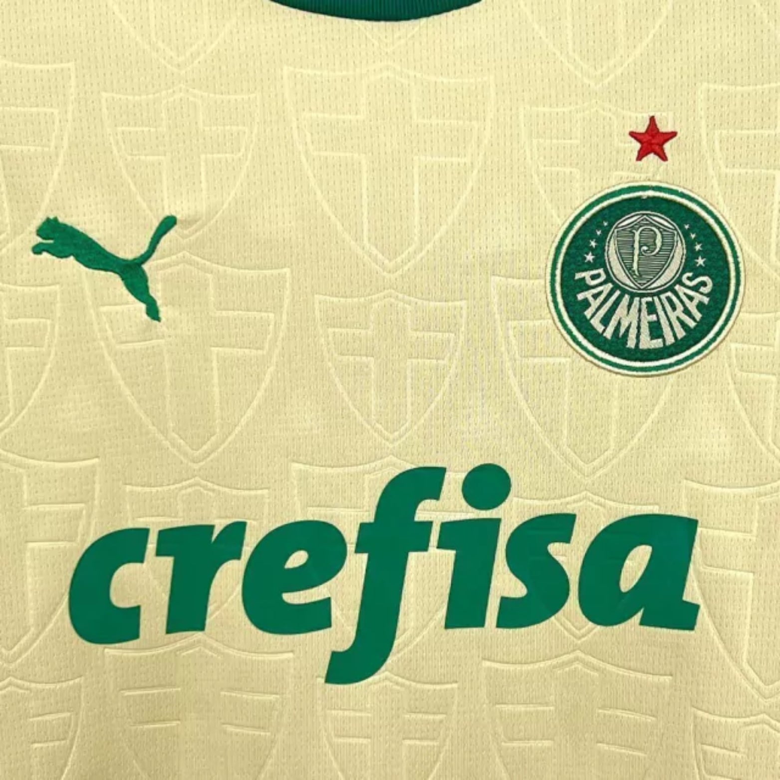 Kids Kit - Palmeiras Third 24/25