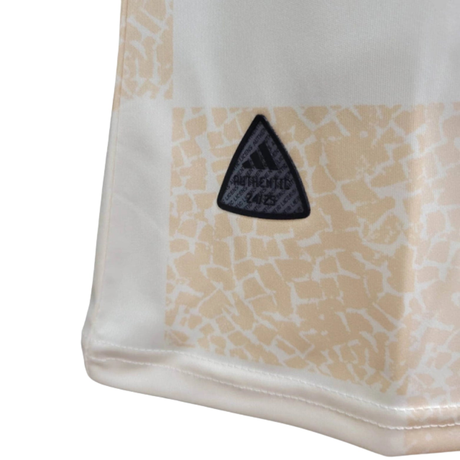 Flamengo Training 24/25 - Player Version