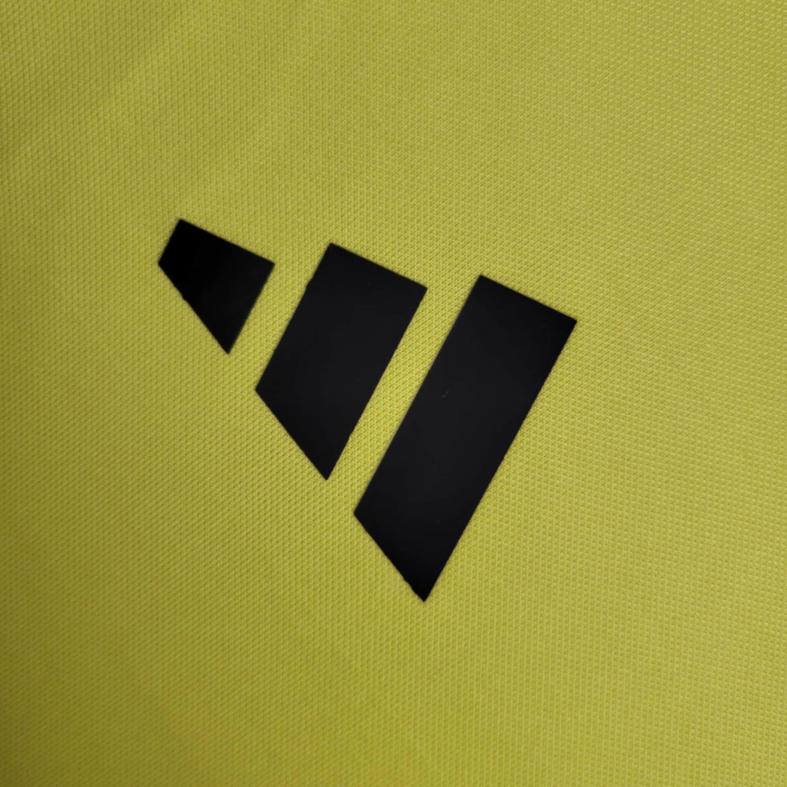 Flamengo Training 24/25