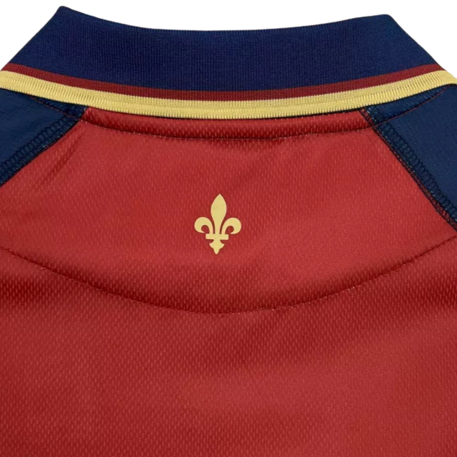 FC Versailles Third 24/25