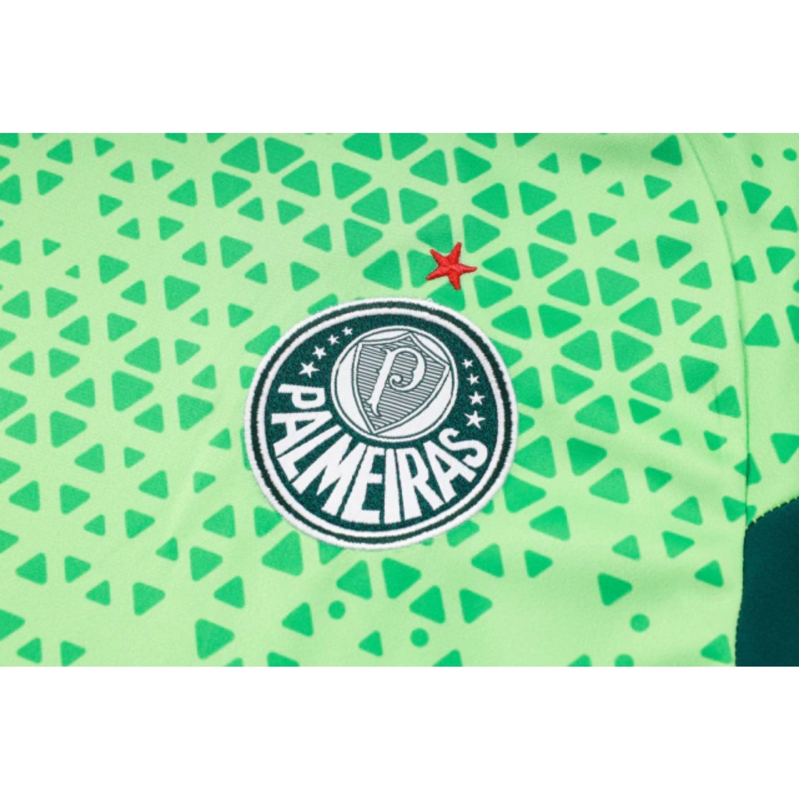 Training Kit - Palmeiras 24/25