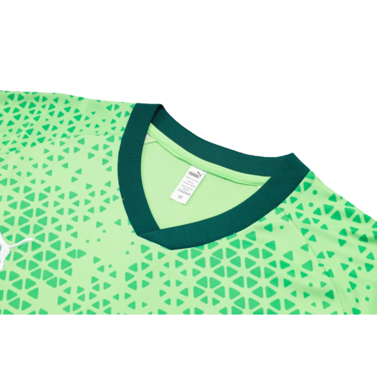 Training Kit - Palmeiras 24/25