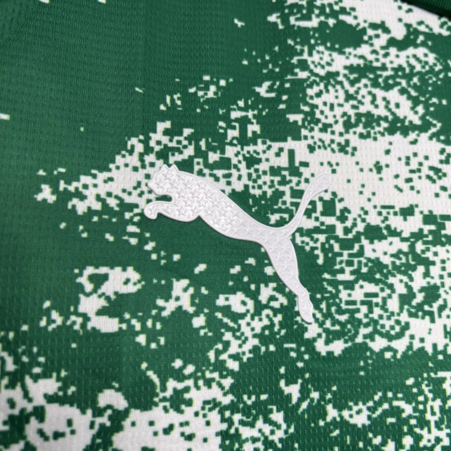 Palmeiras Special Edition 24/25