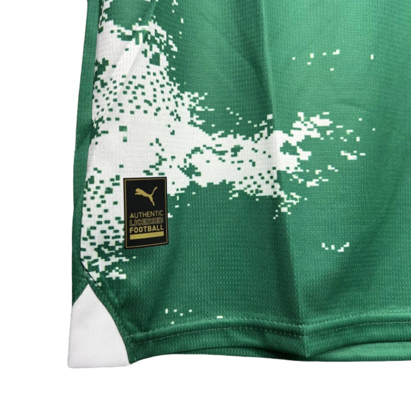 Palmeiras Special Edition 24/25